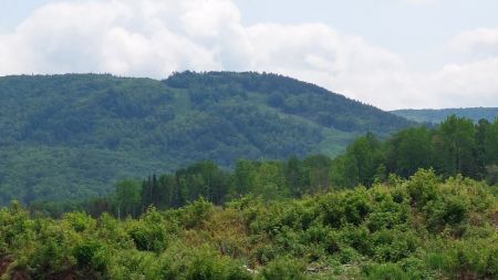  Ch. du Lac-Pémichangan 