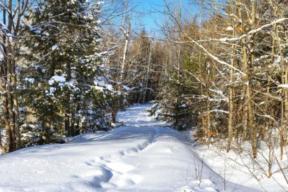 105 Ch. du Rouge-Gorge 