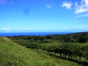  Loma De Abreu, Cabrera, Dominican Republic 