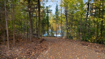 141 Ch. du Lac-Murray 