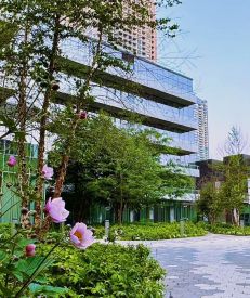 1400 Boul. René-Lévesque O. 201B