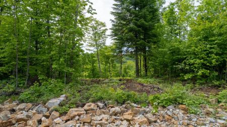 64 Ch. de la Montagne 