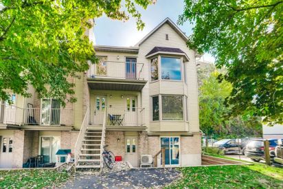 55 Imp. de la Roseraie 8