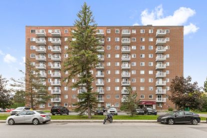 23 Rue de la Soeur-Jeanne-Marie-Chavoin 709