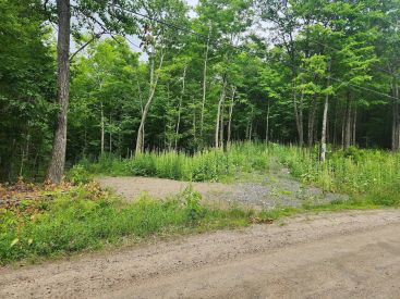 Route 315 — photo 1