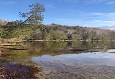 346 Ch. du Lac-de-la-Carpe 