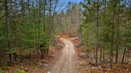  Ch. Alphonse-Tremblay 