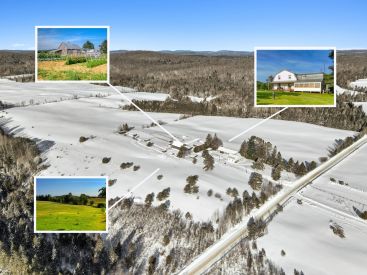 991Z Mtée de Gramont 