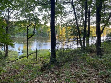 15 Ch. des Carouges 
