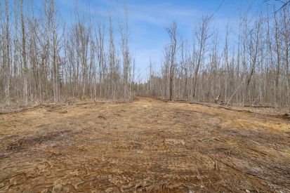  Ch. de la Chanterelle 