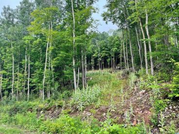 37 Ch. Léopold-Marsolais 