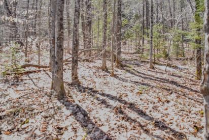 24 Ch. de l'Orée-des-Bois 