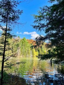 29 Ch. des Pins-Blancs 