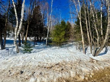 55 Ch. de la Promenade 