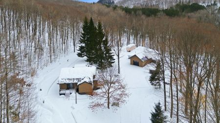 124 Ch. du Lac-Doré N. 