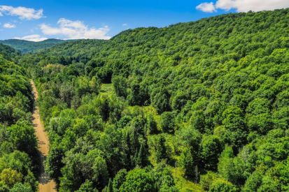 1039 Mtée Beausoleil 