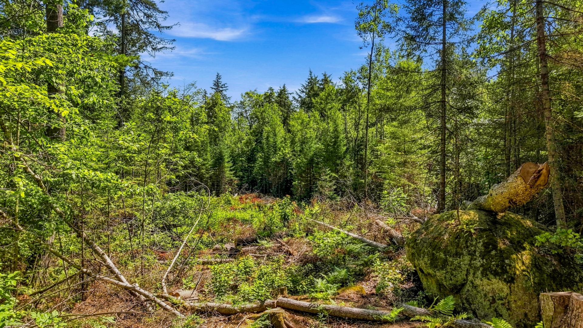 Land/Lot