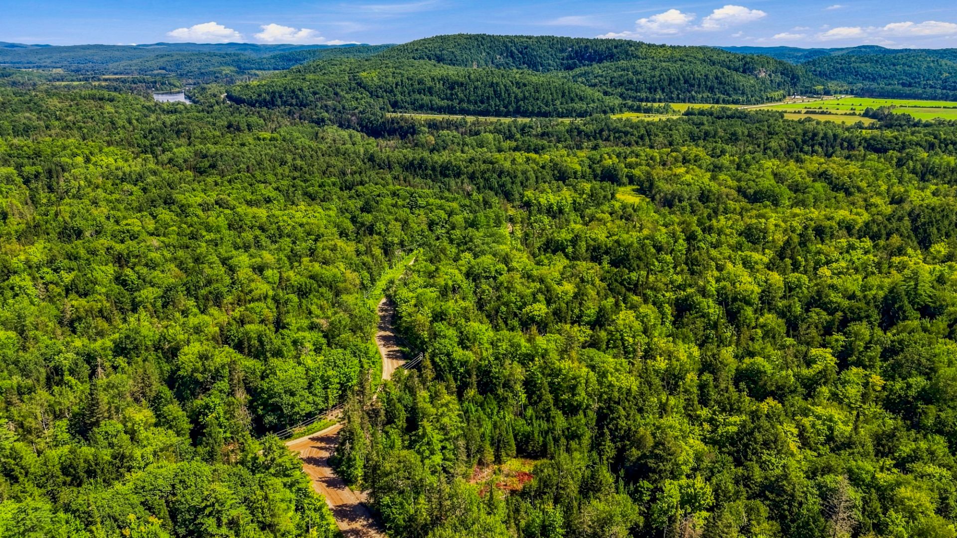 Aerial photo