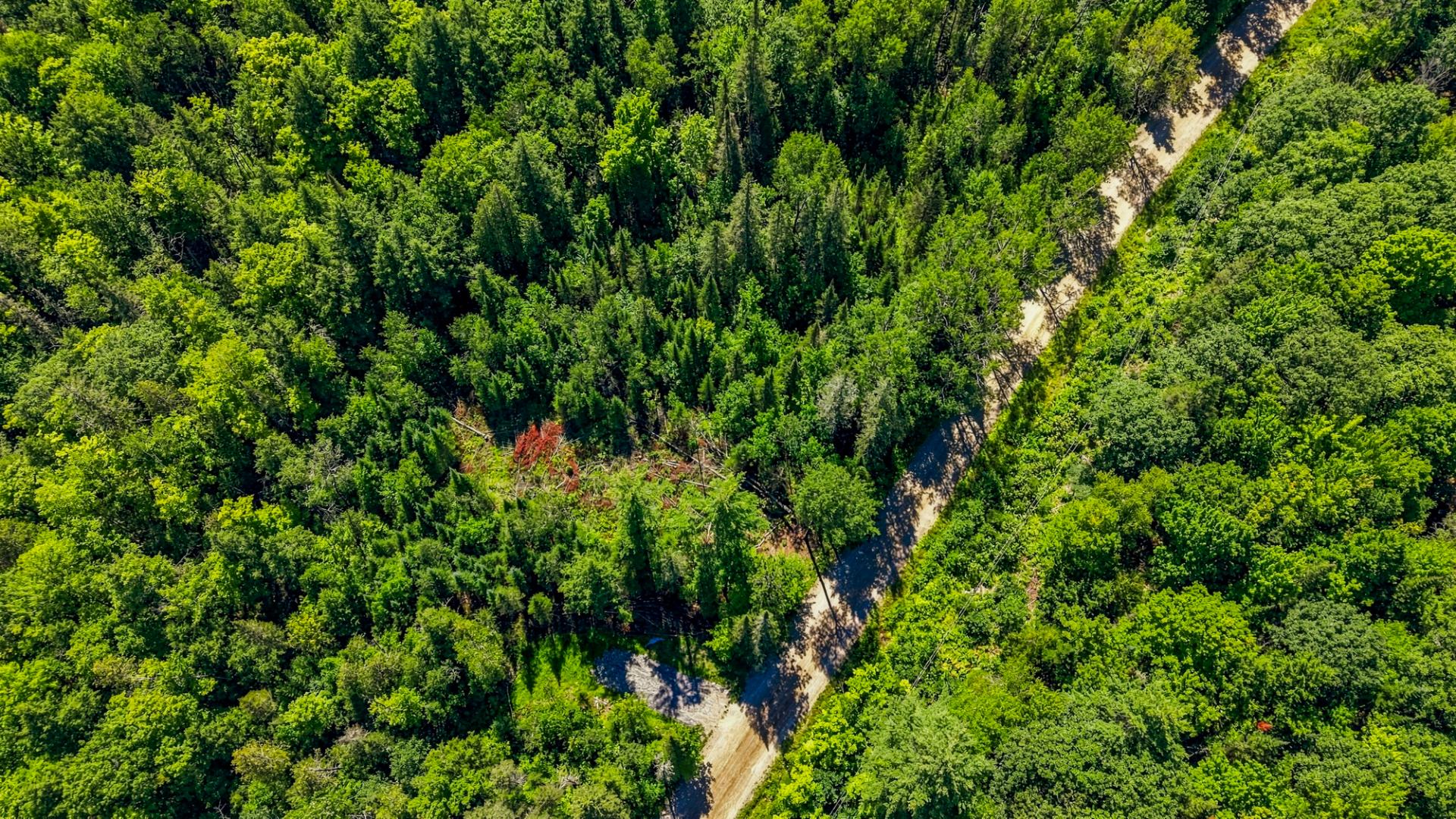 Aerial photo