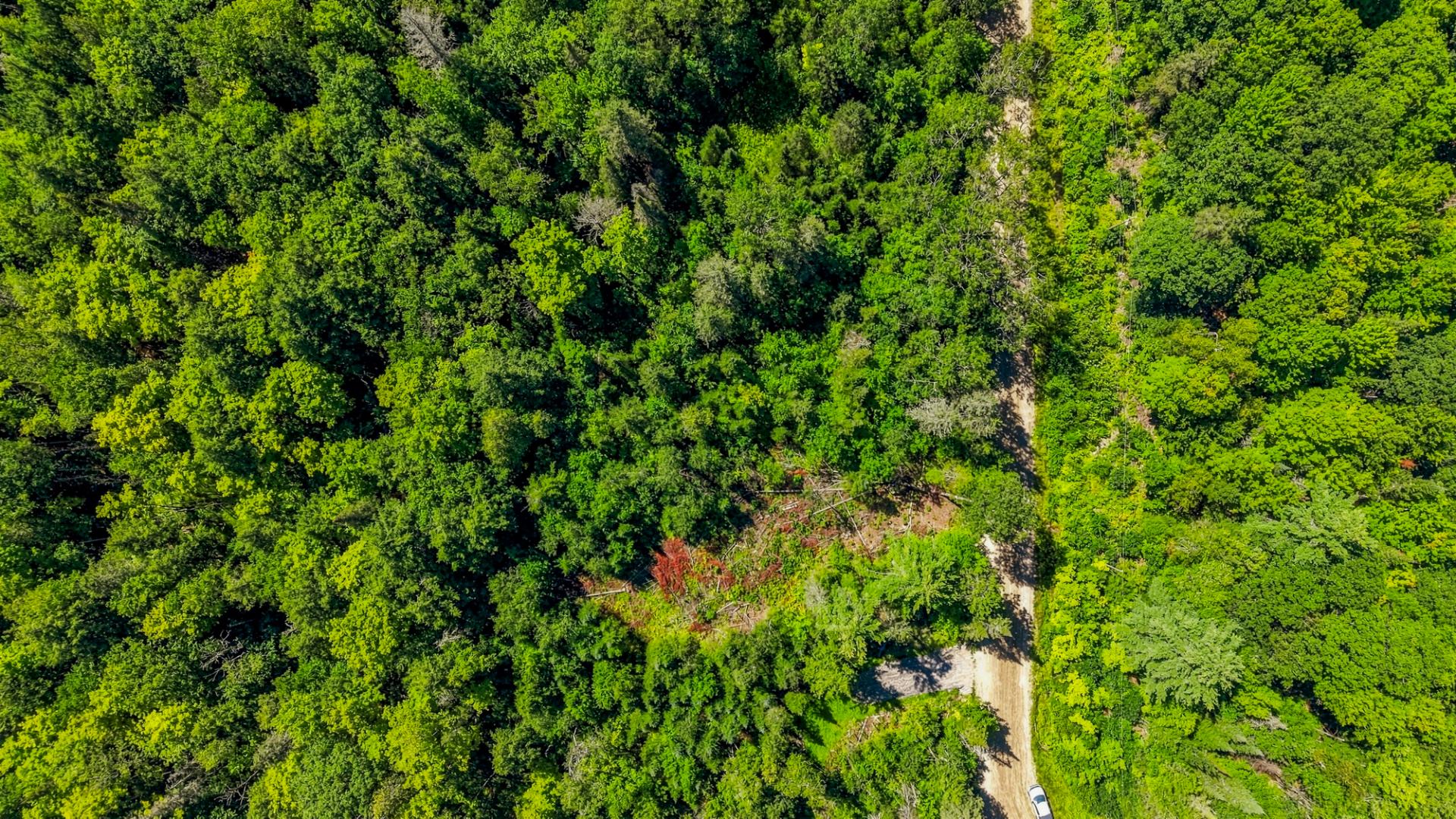 Aerial photo
