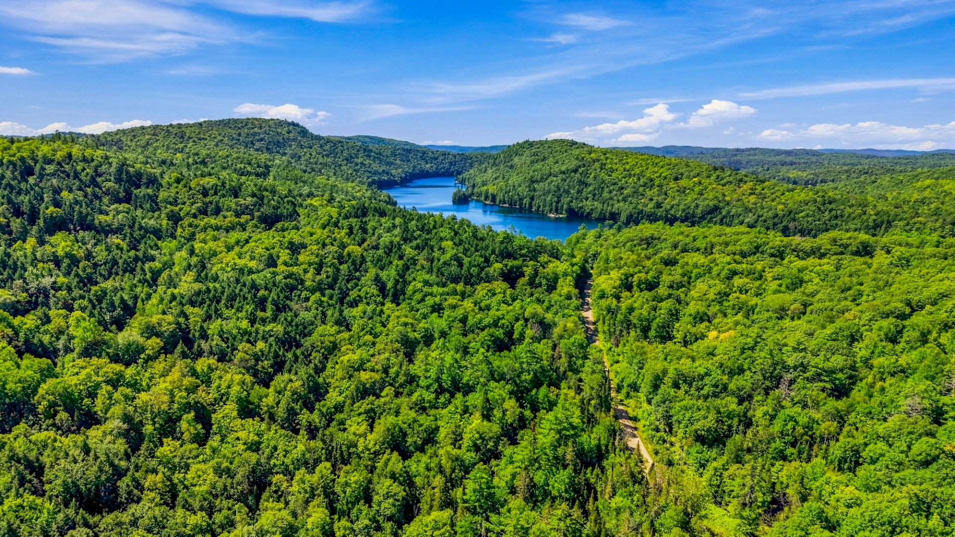 Aerial photo
