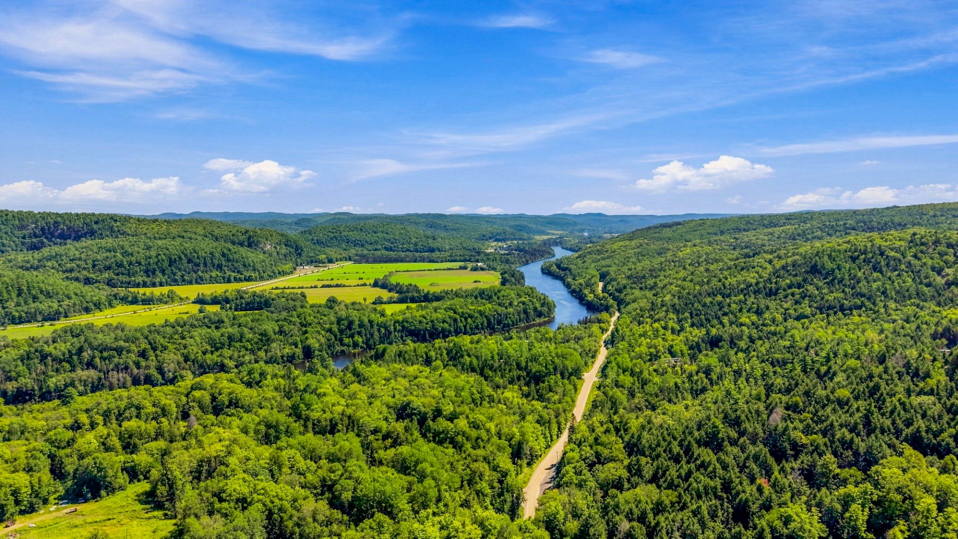 Aerial photo