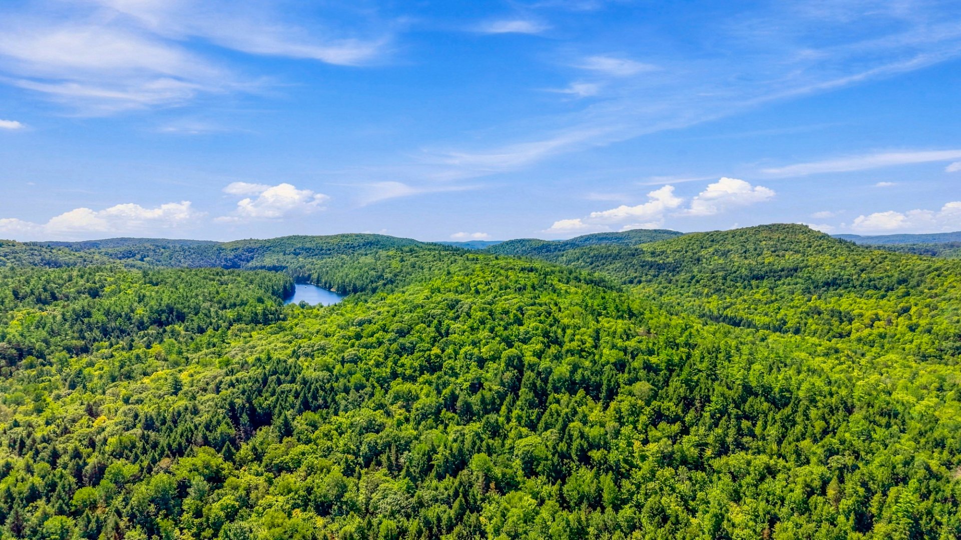 Aerial photo