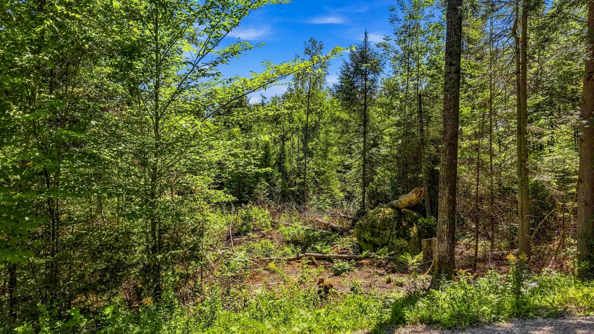 Land/Lot
