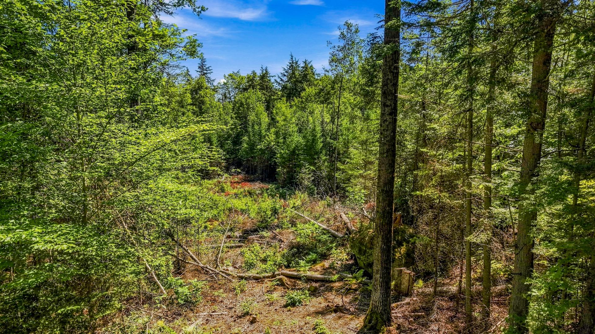 Land/Lot