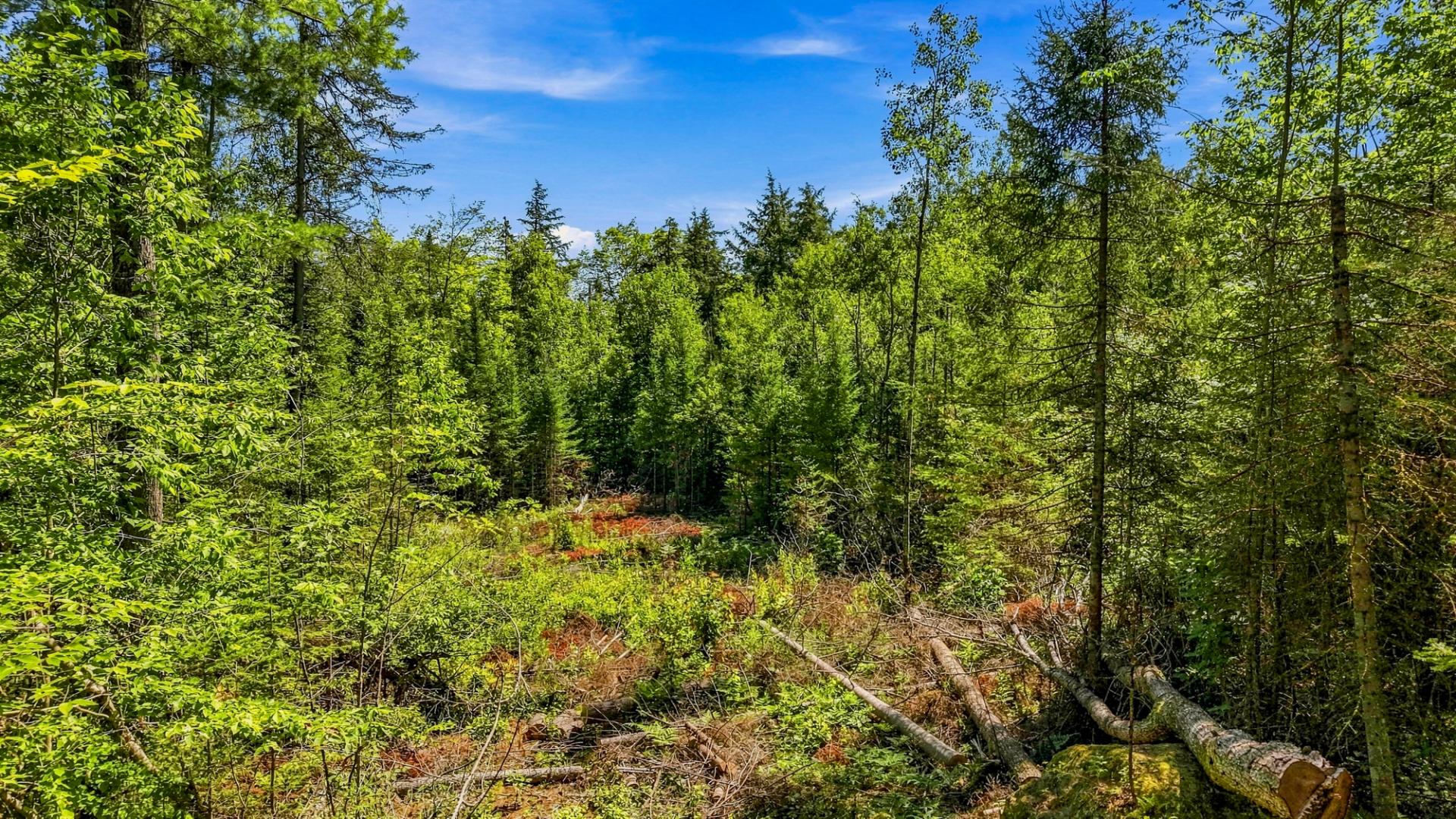 Land/Lot