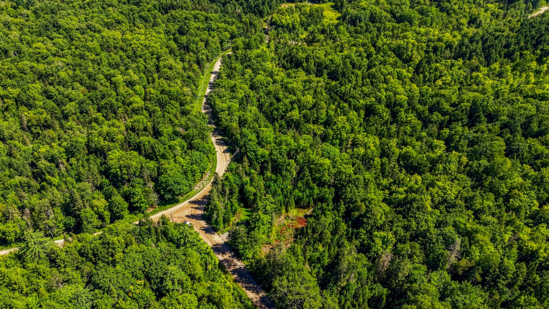 Aerial photo