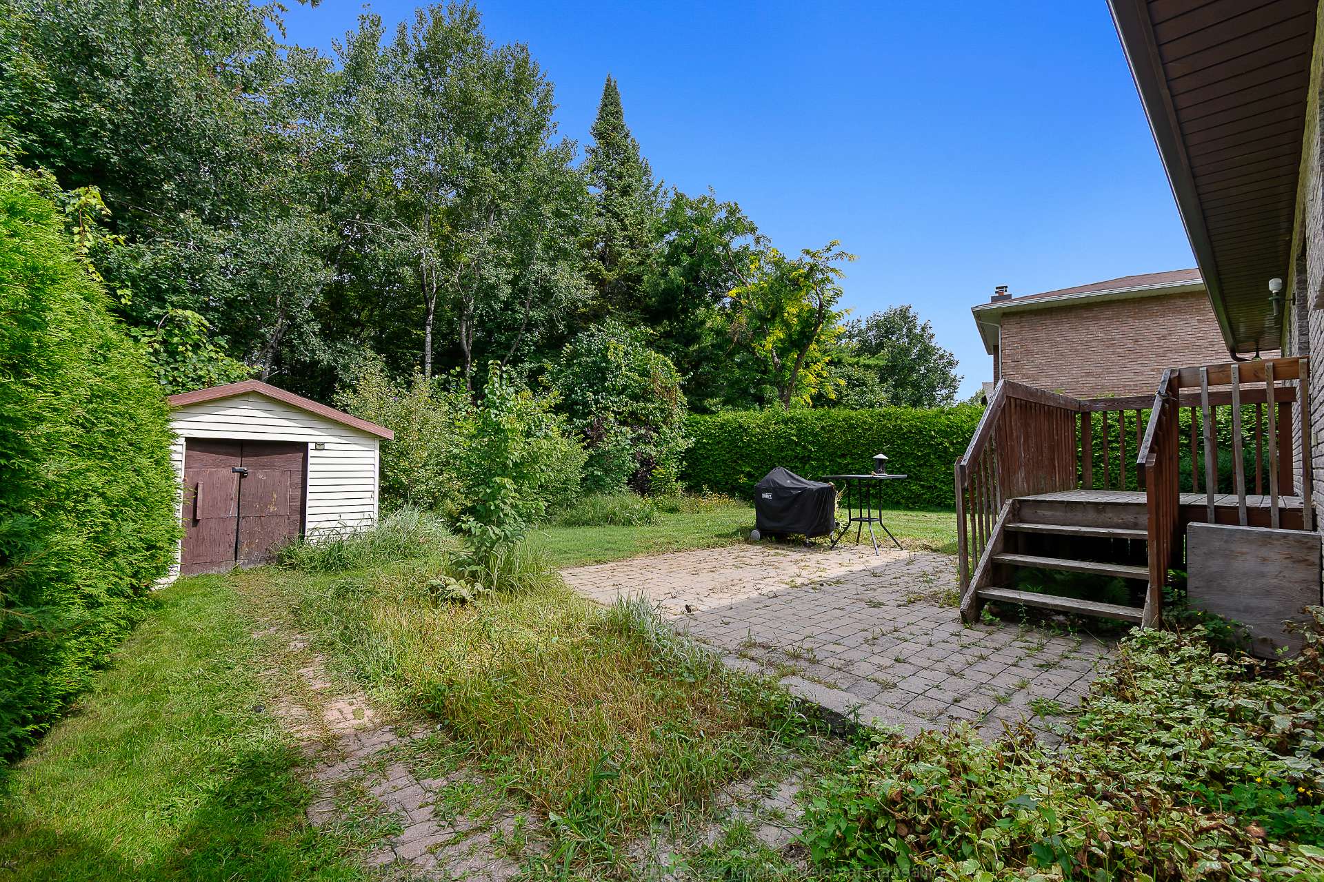 Backyard