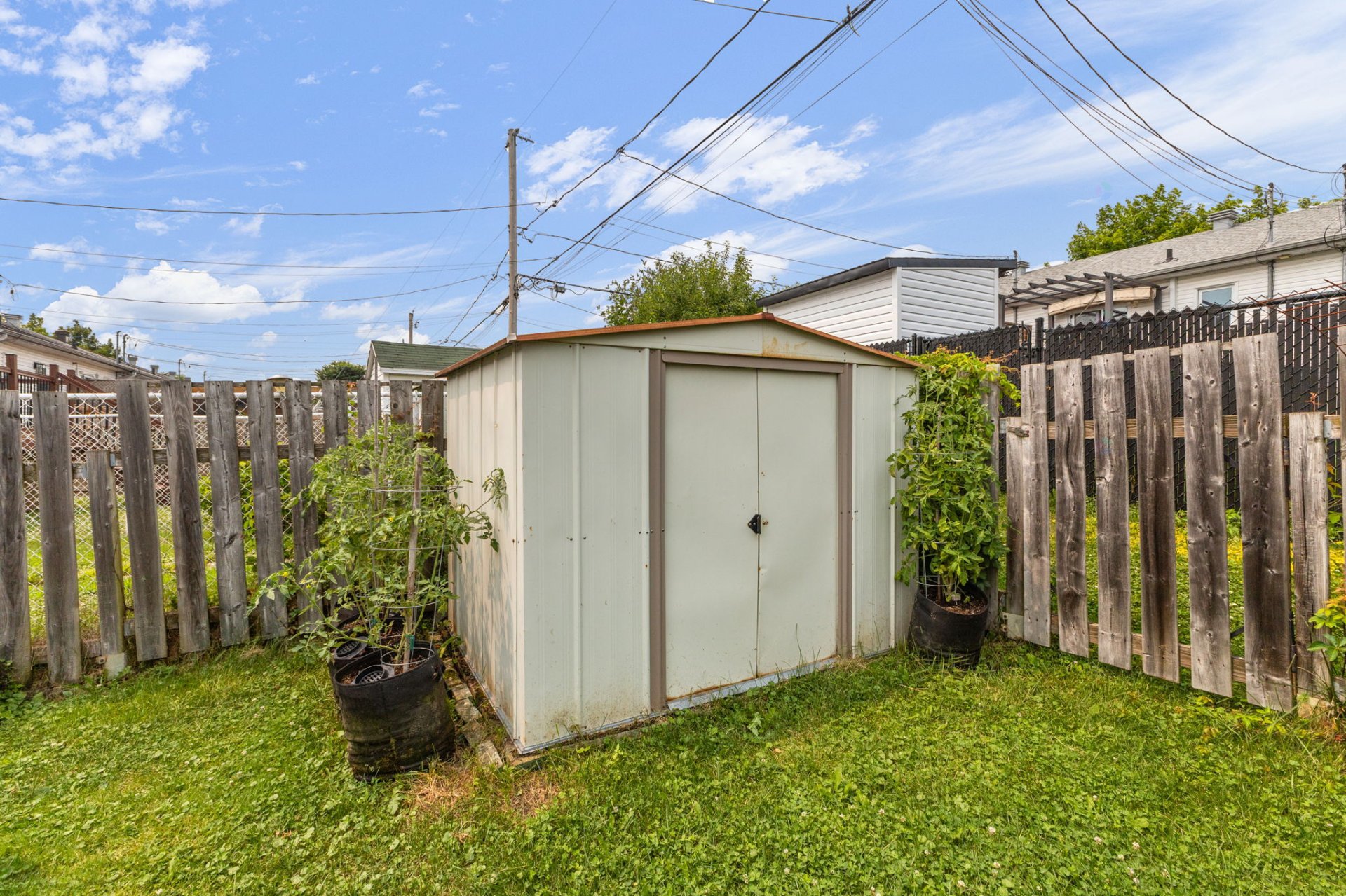 Shed
