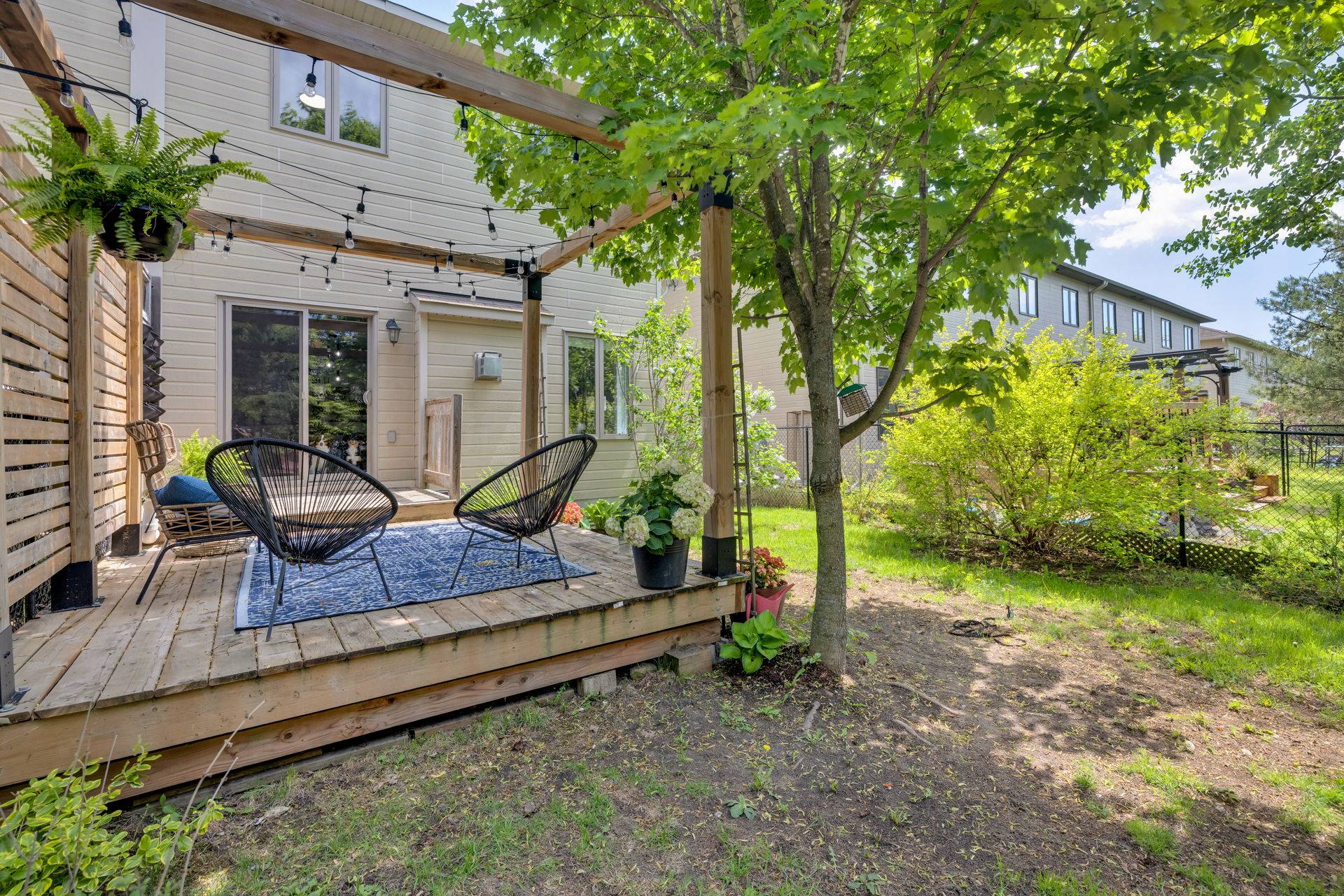 Backyard