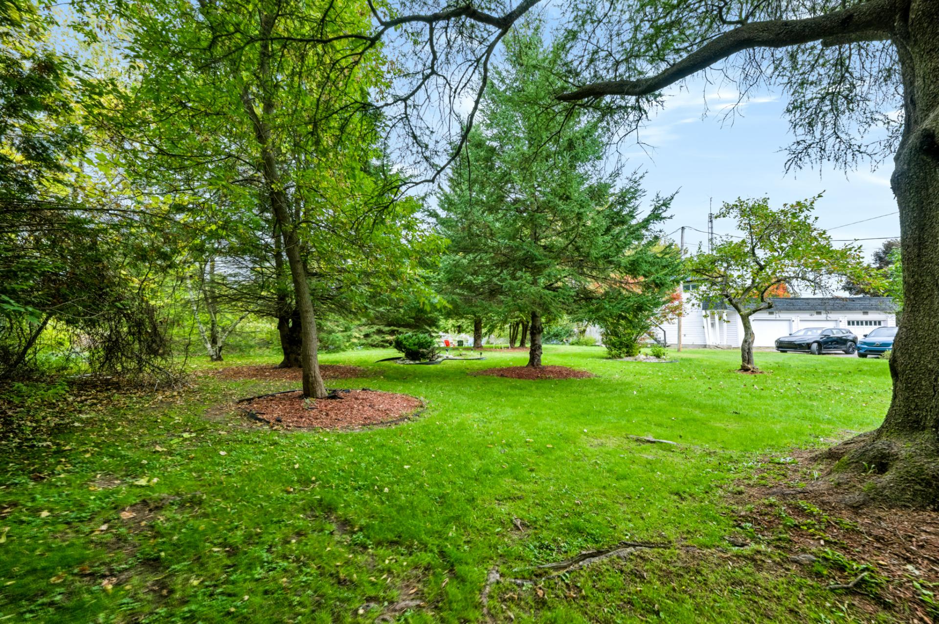 Land/Lot