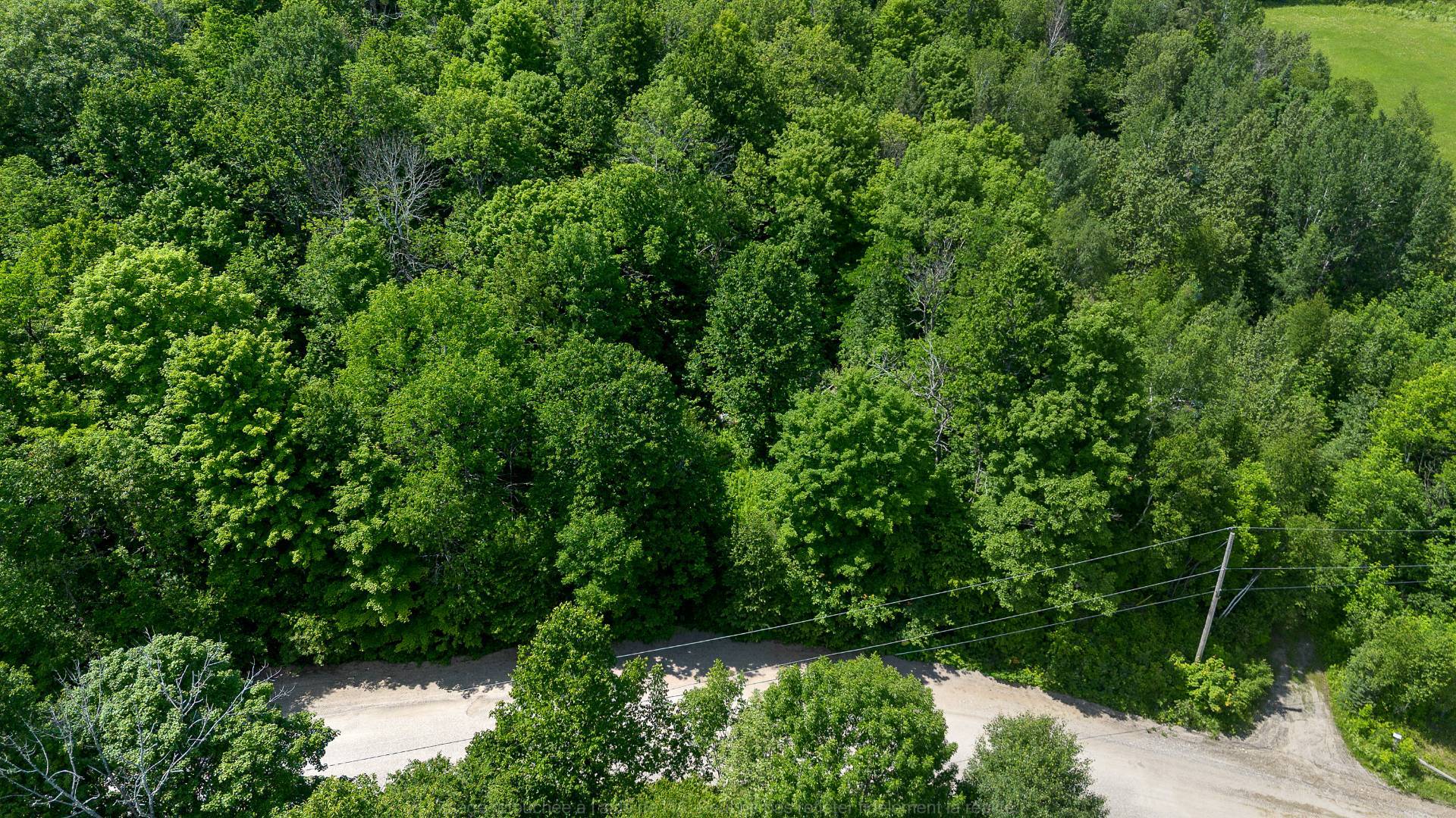 Terre/Terrain