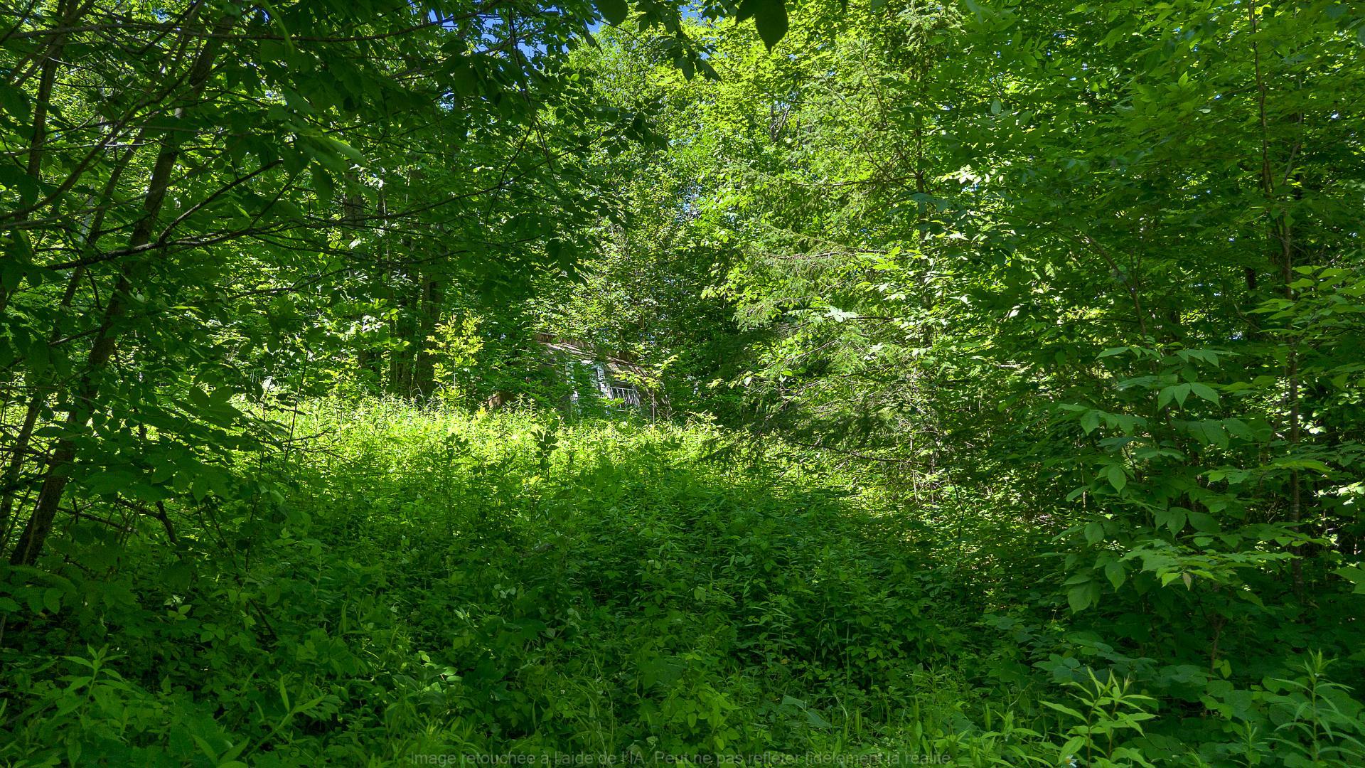 Terre/Terrain