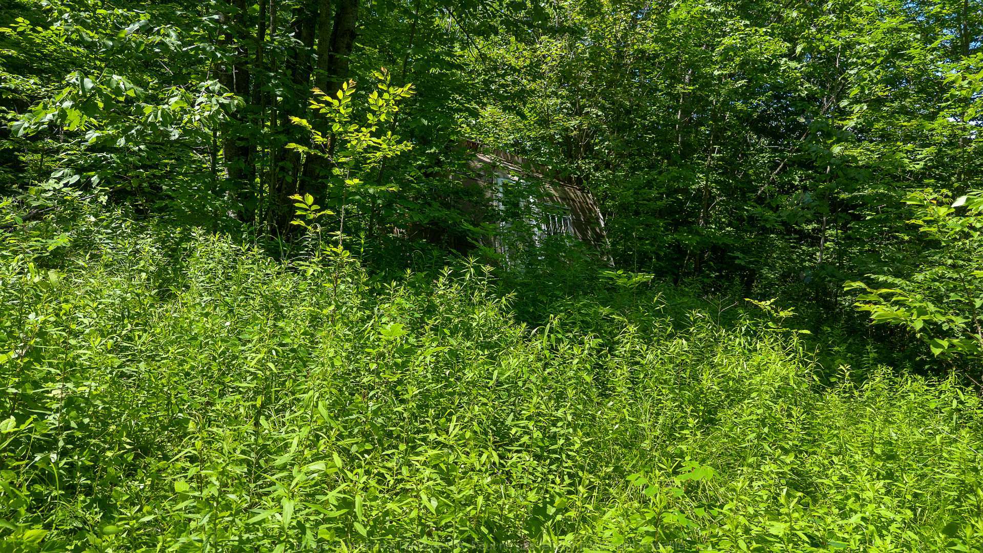 Terre/Terrain