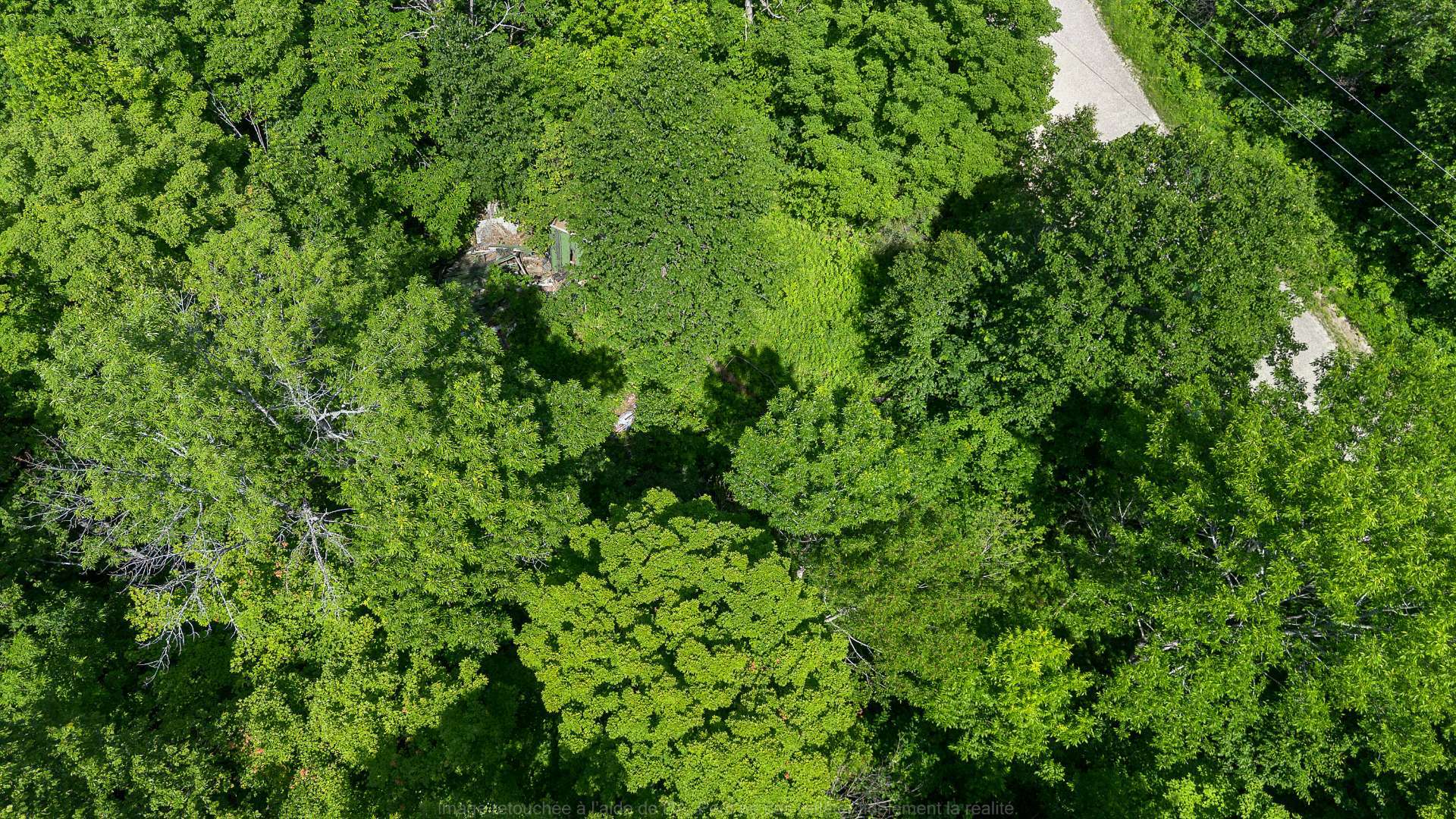 Terre/Terrain