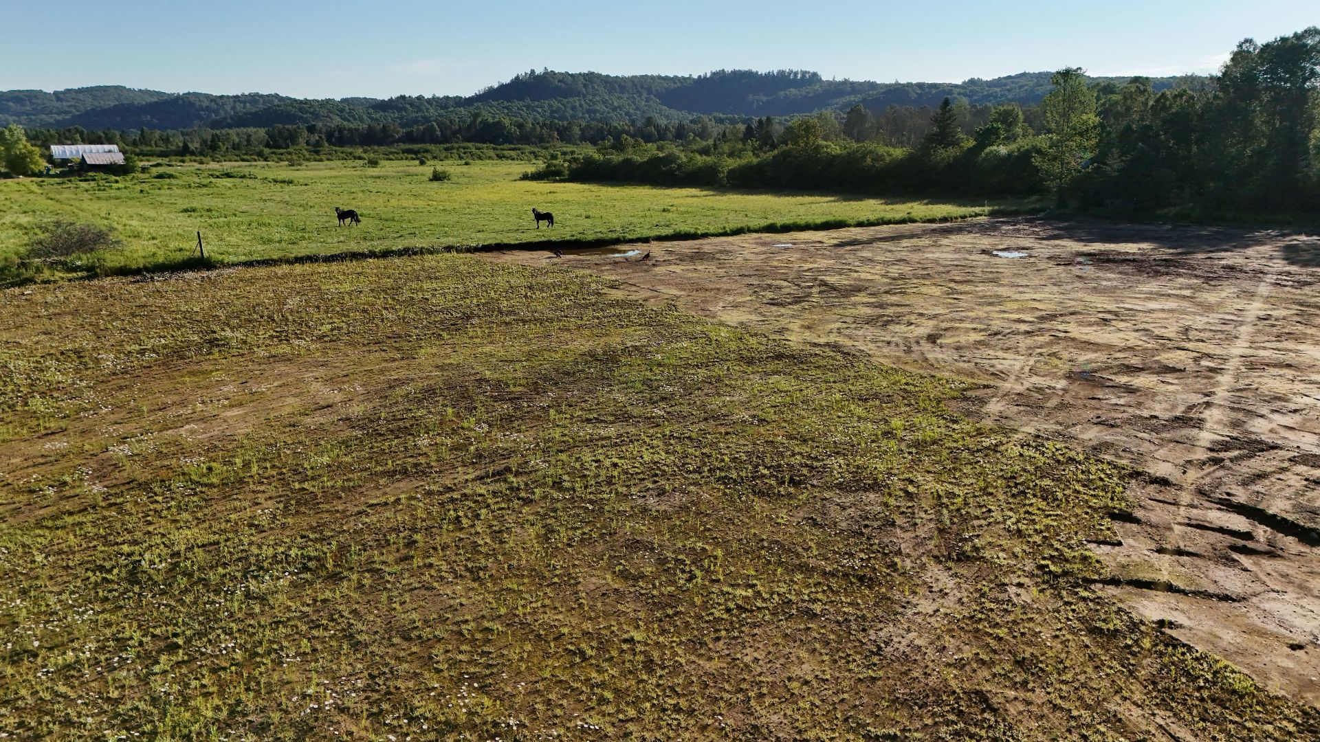 Overall view