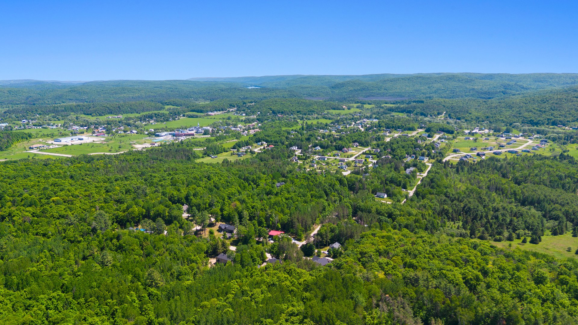 Overall View