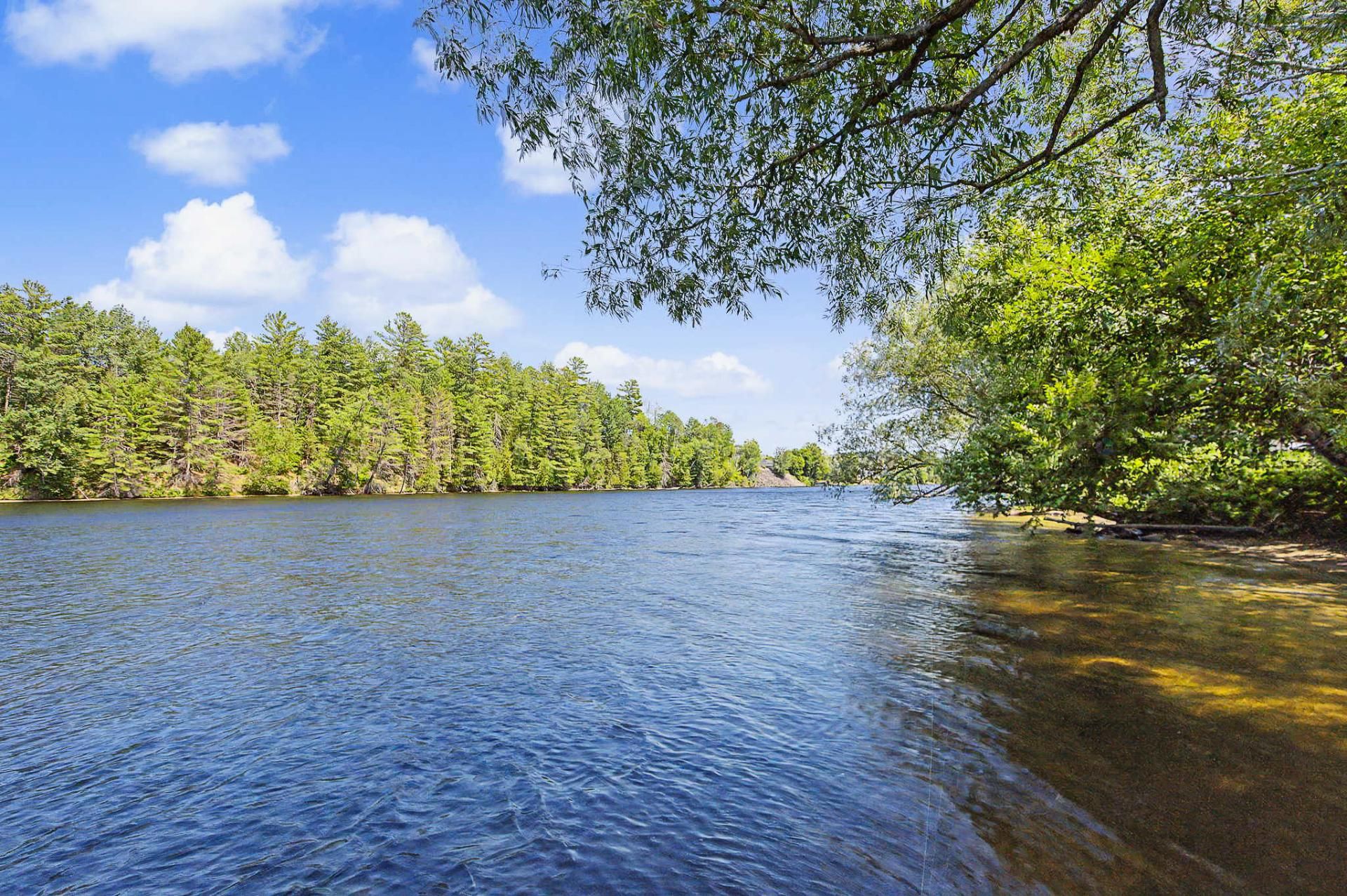 Vue sur l'eau
