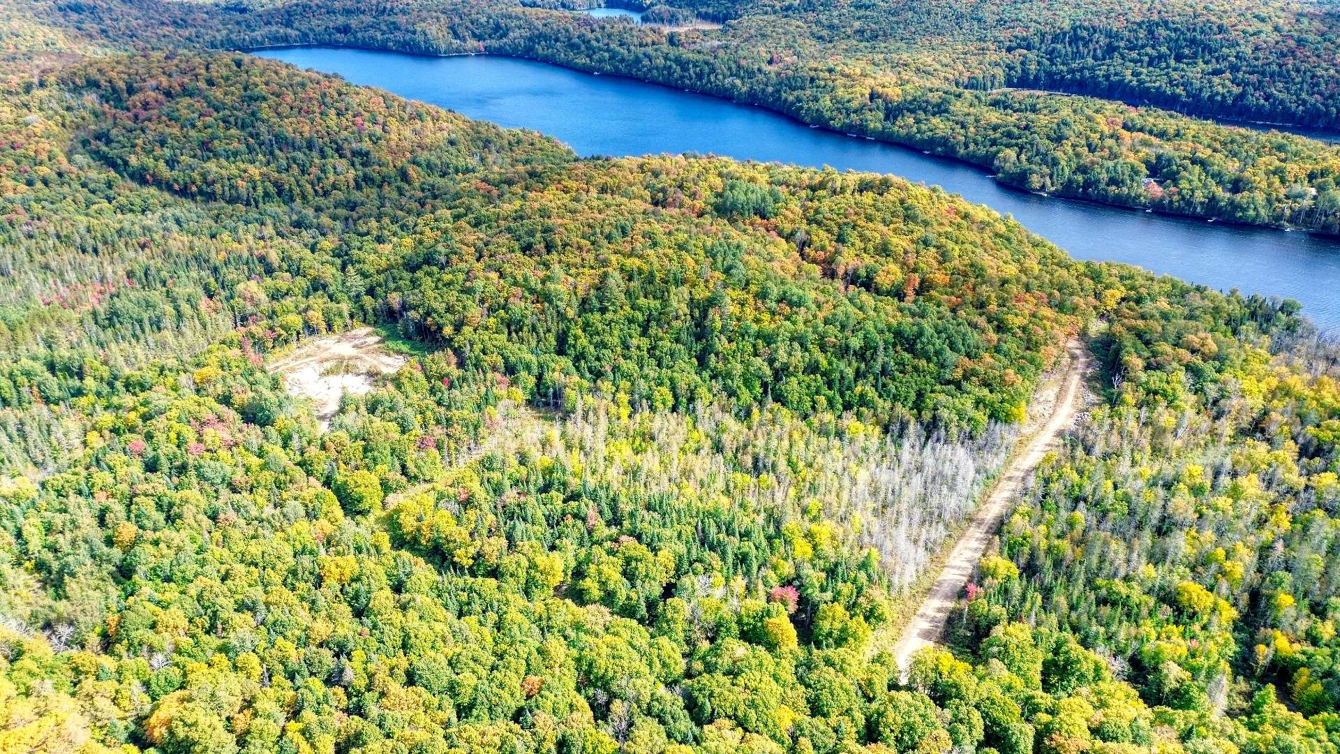 Aerial photo