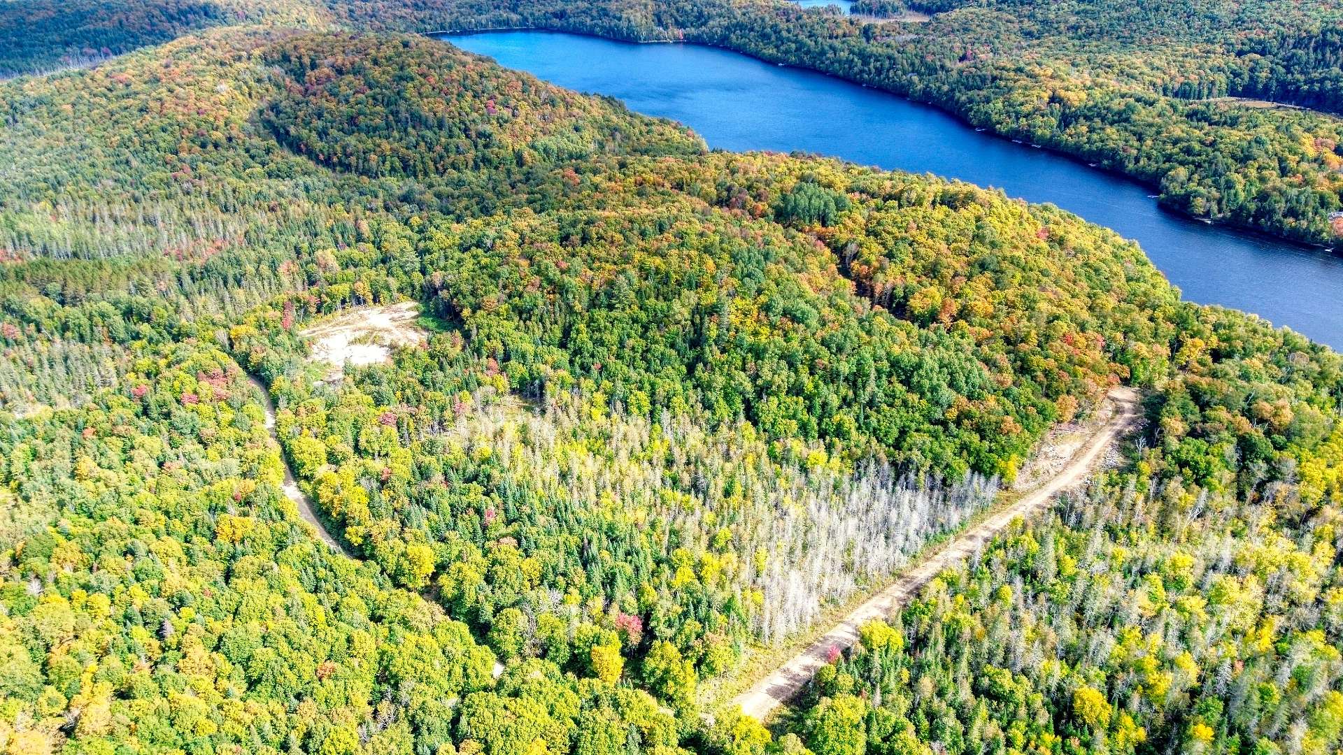 Aerial photo
