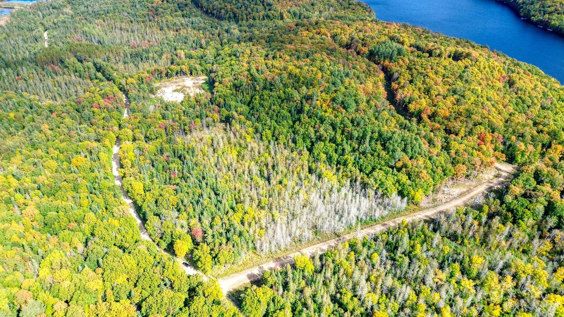 Aerial photo
