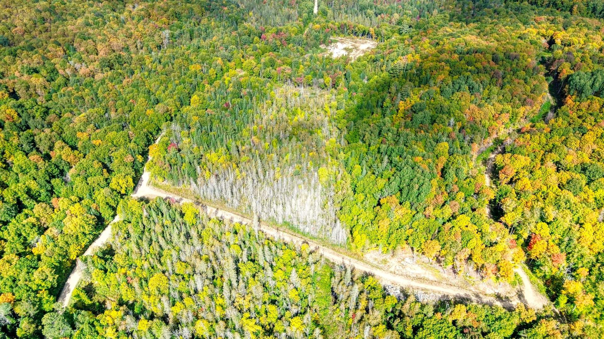 Aerial photo