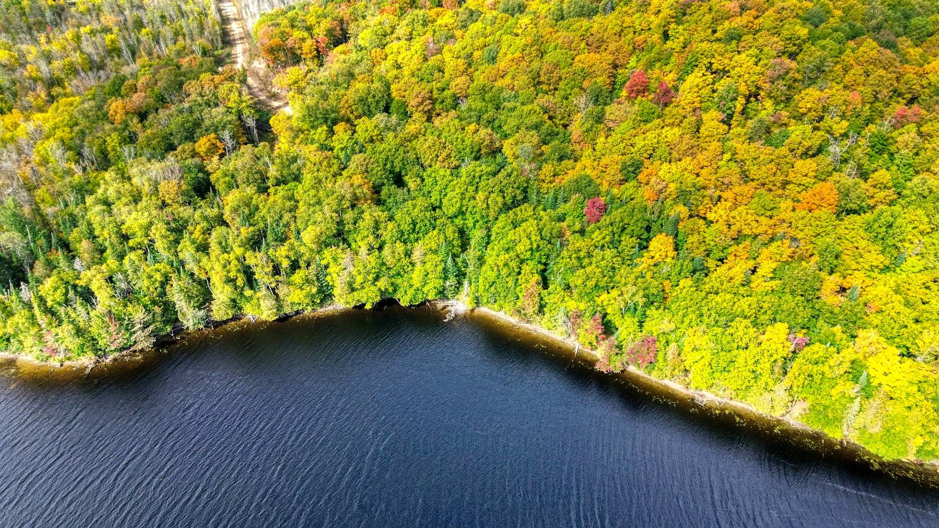 Aerial photo