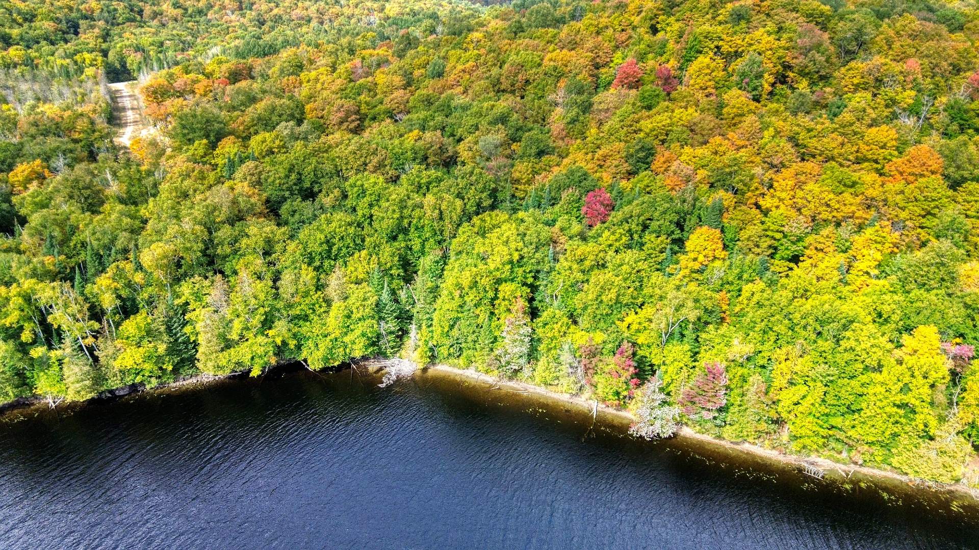 Aerial photo