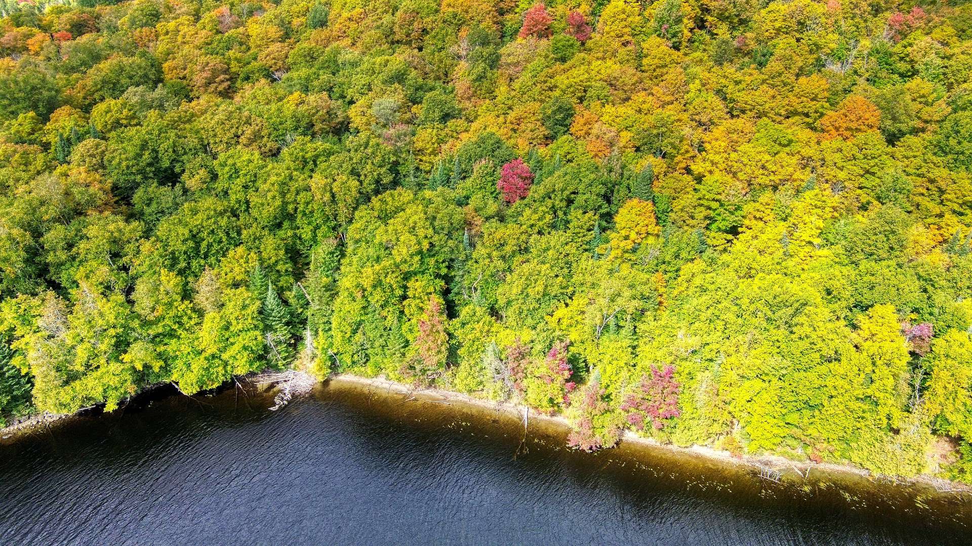 Aerial photo
