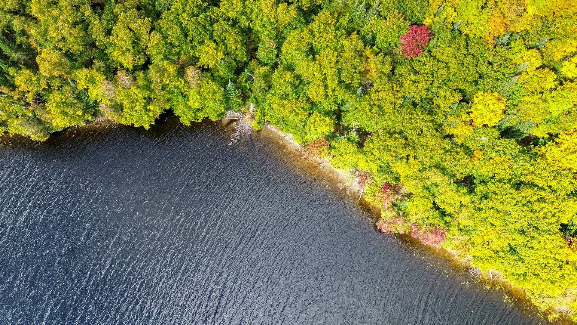 Aerial photo